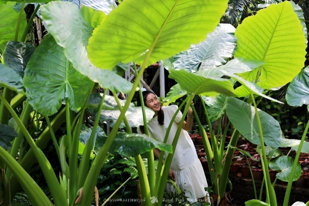 Rajapruek Place Chiang Mai Luaran gambar